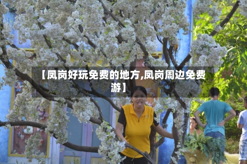 【凤岗好玩免费的地方,凤岗周边免费游】-第3张图片