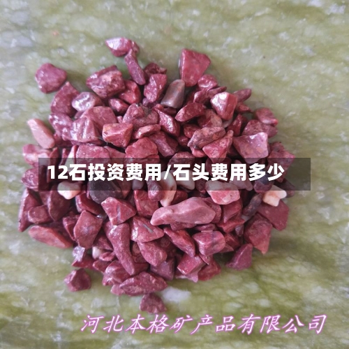 12石投资费用/石头费用多少