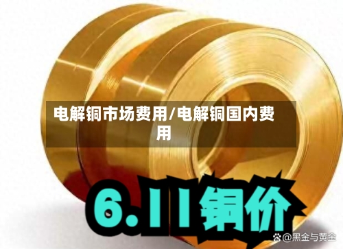 电解铜市场费用/电解铜国内费用