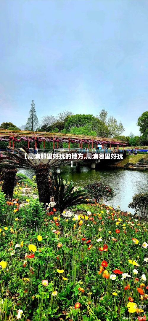 【周浦那里好玩的地方,周浦哪里好玩】-第3张图片