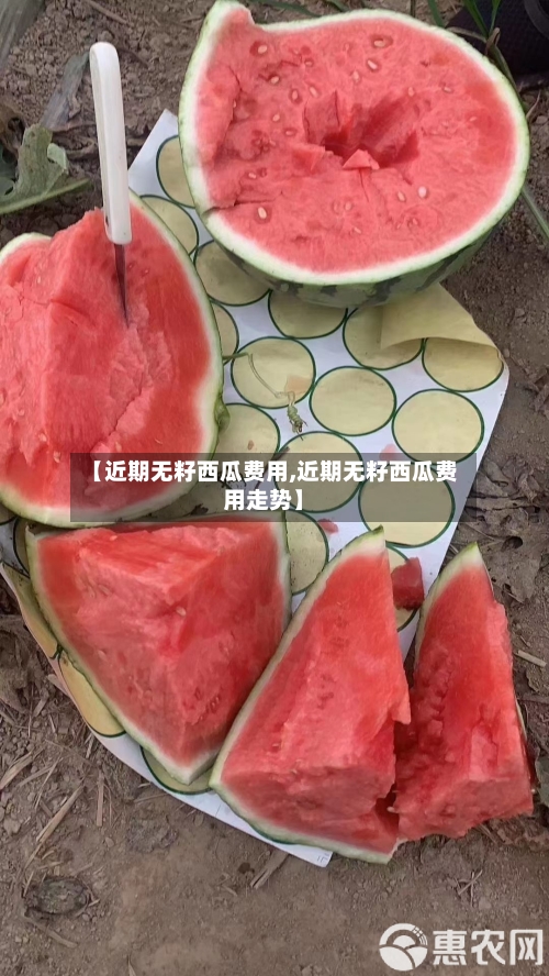 【近期无籽西瓜费用,近期无籽西瓜费用走势】-第3张图片