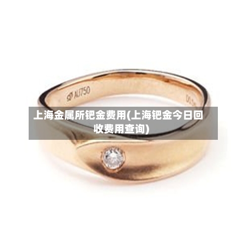 上海金属所钯金费用(上海钯金今日回收费用查询)