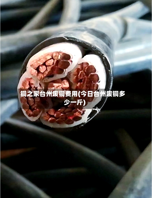 铜之家台州废铜费用(今日台州废铜多少一斤)-第2张图片