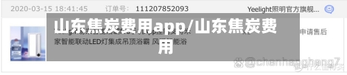 山东焦炭费用app/山东焦炭费用