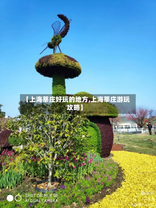 【上海莘庄好玩的地方,上海莘庄游玩攻略】