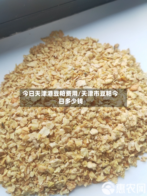 今日天津港豆粕费用/天津市豆粕今日多少钱