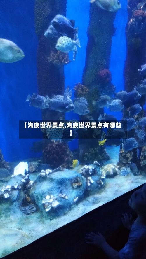 【海底世界景点,海底世界景点有哪些】-第2张图片
