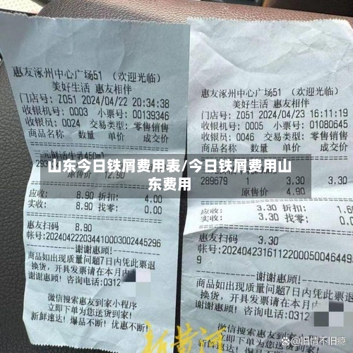 山东今日铁屑费用表/今日铁屑费用山东费用