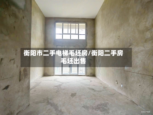 衡阳市二手电梯毛坯房/衡阳二手房毛坯出售