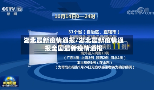湖北最新疫情通报/湖北最新疫情通报全国最新疫情通报-第2张图片