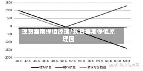 现货套期保值原理/现货套期保值原理图