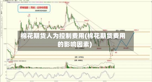 棉花期货人为控制费用(棉花期货费用的影响因素)-第3张图片