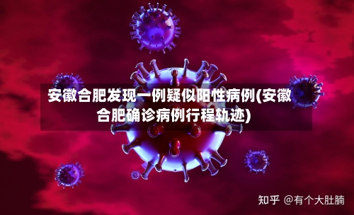 安徽合肥发现一例疑似阳性病例(安徽合肥确诊病例行程轨迹)-第2张图片