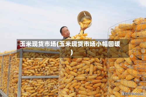 玉米现货市场(玉米现货市场小幅回暖)