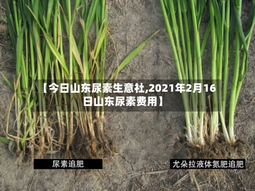 【今日山东尿素生意社,2021年2月16日山东尿素费用】