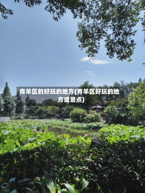青羊区的好玩的地方(青羊区好玩的地方或景点)