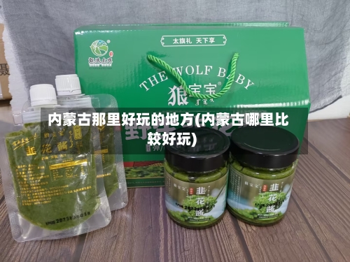 内蒙古那里好玩的地方(内蒙古哪里比较好玩)-第2张图片