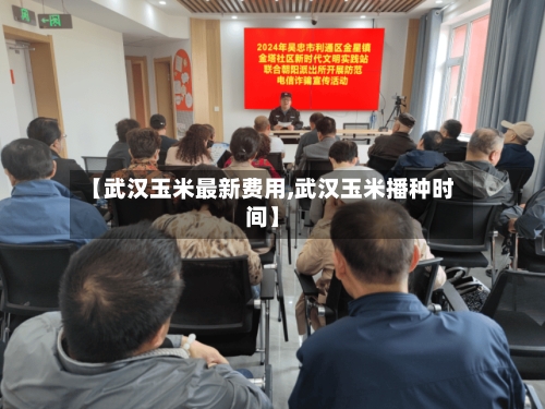 【武汉玉米最新费用,武汉玉米播种时间】-第1张图片