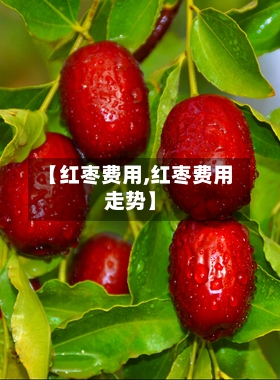 【红枣费用,红枣费用走势】