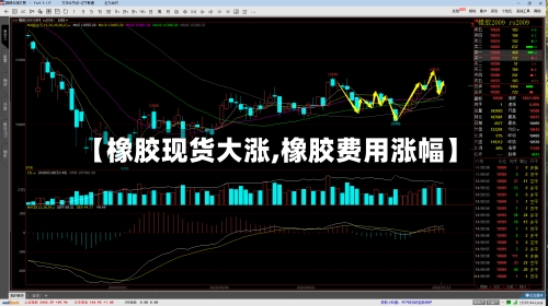 【橡胶现货大涨,橡胶费用涨幅】-第3张图片