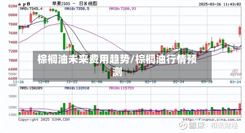 棕榈油未来费用趋势/棕榈油行情预测-第3张图片