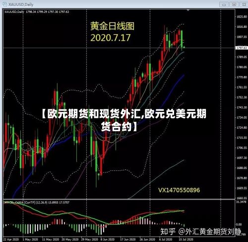 【欧元期货和现货外汇,欧元兑美元期货合约】-第2张图片