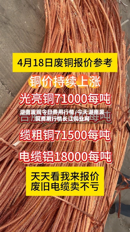 湖南废铜今日费用行情/今天湖南废铜费用行情长江铜业网