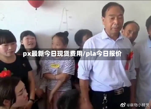 px最新今日现货费用/pla今日报价