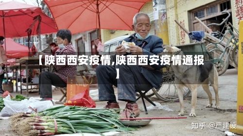 【陕西西安疫情,陕西西安疫情通报】