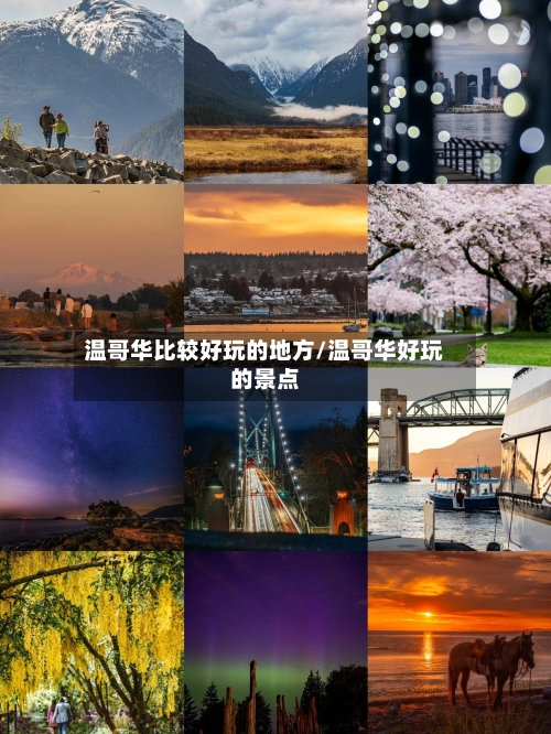 温哥华比较好玩的地方/温哥华好玩的景点