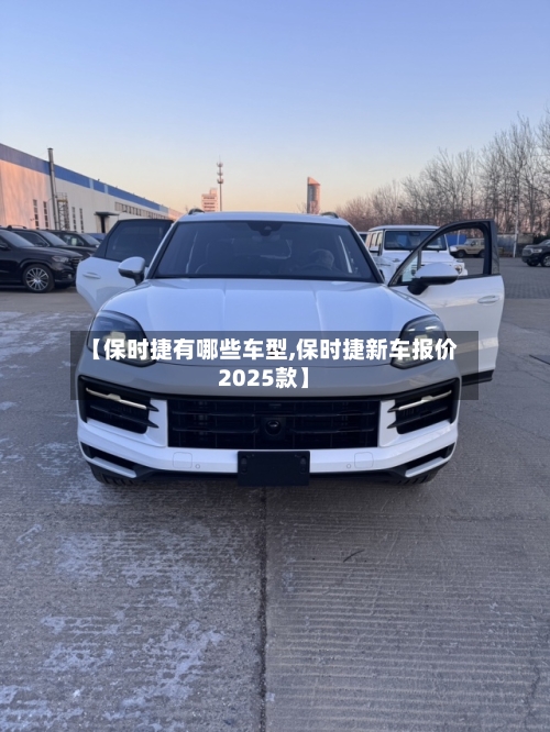 【保时捷有哪些车型,保时捷新车报价2025款】