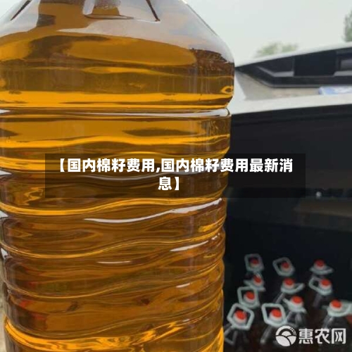 【国内棉籽费用,国内棉籽费用最新消息】-第2张图片