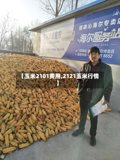 【玉米2101费用,2121玉米行情】