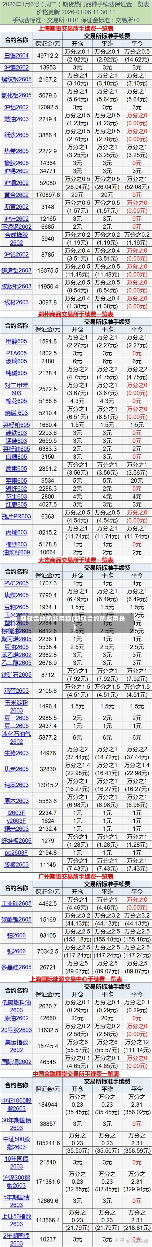 期权合约的费用称(期权合约的费用是)-第2张图片