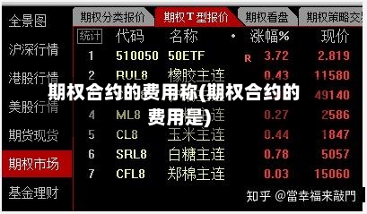 期权合约的费用称(期权合约的费用是)