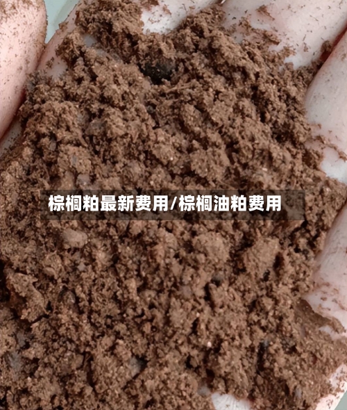 棕榈粕最新费用/棕榈油粕费用-第3张图片