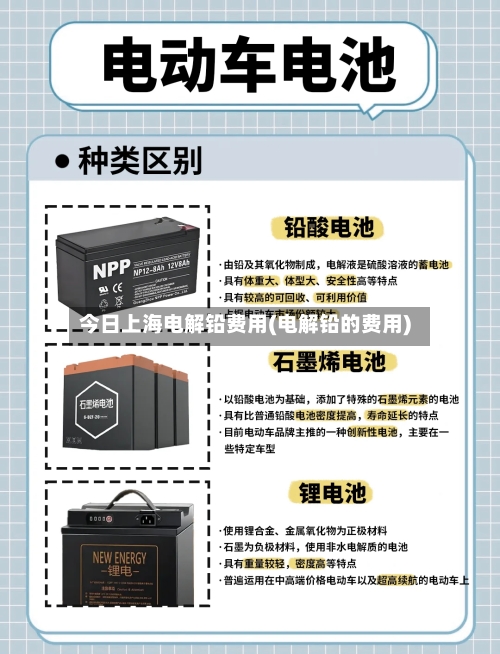 今日上海电解铅费用(电解铅的费用)