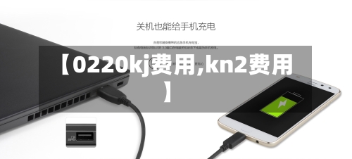 【0220kj费用,kn2费用】-第2张图片