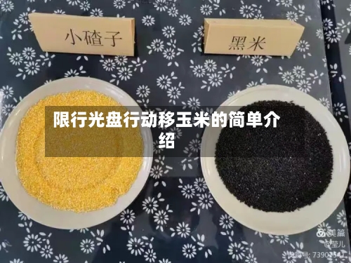 限行光盘行动移玉米的简单介绍