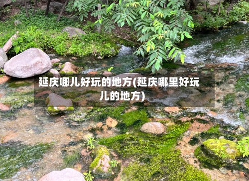 延庆哪儿好玩的地方(延庆哪里好玩儿的地方)