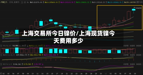 上海交易所今日镍价/上海现货镍今天费用多少-第2张图片