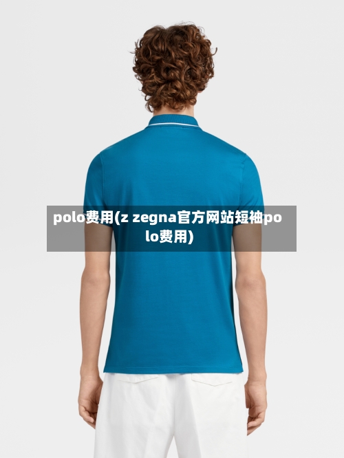 polo费用(z zegna官方网站短袖polo费用)-第2张图片