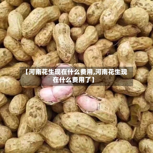 【河南花生现在什么费用,河南花生现在什么费用了】