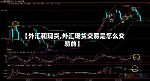 【外汇和现货,外汇现货交易是怎么交易的】-第2张图片