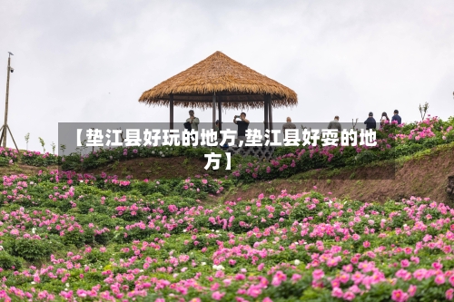 【垫江县好玩的地方,垫江县好耍的地方】-第3张图片