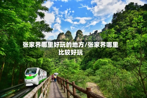 张家界哪里好玩的地方/张家界哪里比较好玩-第2张图片