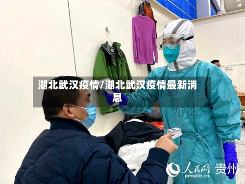 湖北武汉疫情/湖北武汉疫情最新消息-第3张图片