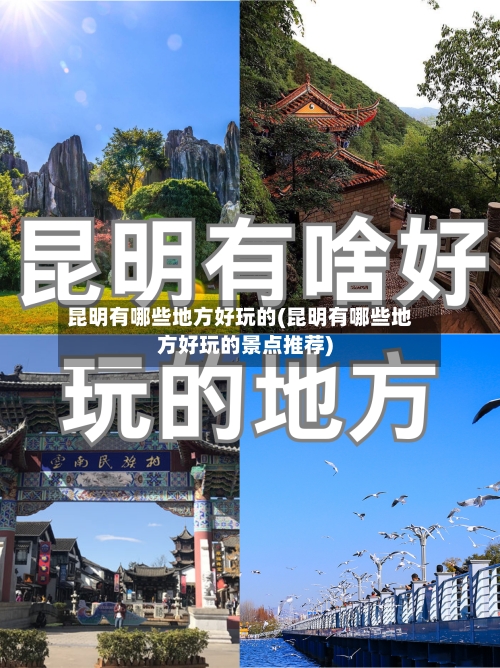 昆明有哪些地方好玩的(昆明有哪些地方好玩的景点推荐)