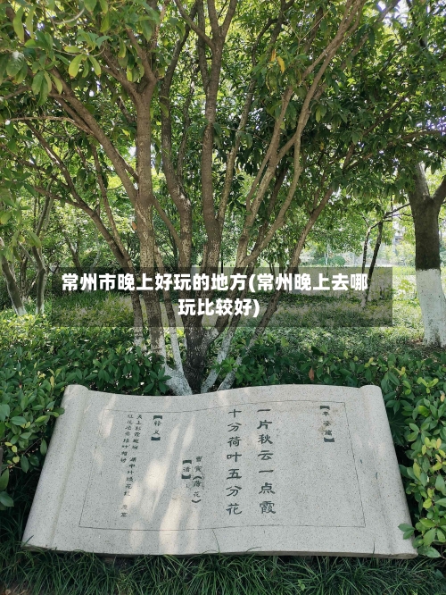 常州市晚上好玩的地方(常州晚上去哪玩比较好)-第2张图片