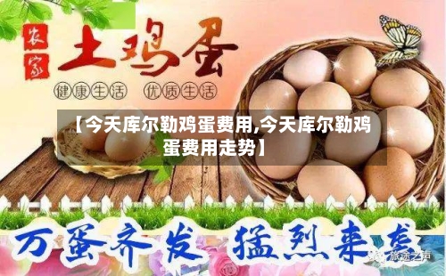 【今天库尔勒鸡蛋费用,今天库尔勒鸡蛋费用走势】